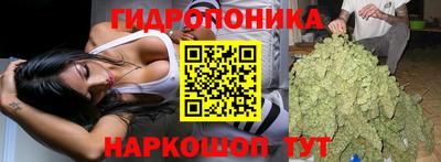 прущие грибы Севастополь
