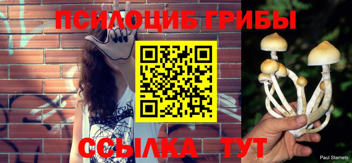 Псилоцибиновые грибы GOLDEN TEACHER  Галлюциногенные грибы мицелий  как найти закладки  Вход с VPN  Реутов 