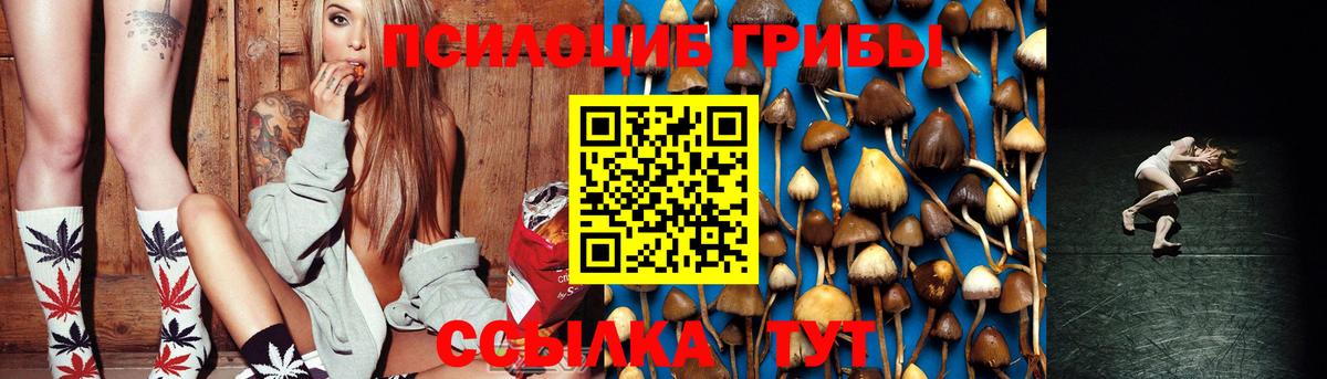 Псилоцибиновые грибы GOLDEN TEACHER Реутов